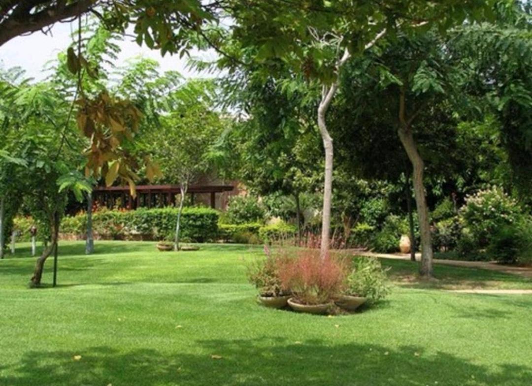 קיסריה Vacation apartments with a sea view -דירות נופש מול הים מראה חיצוני תמונה